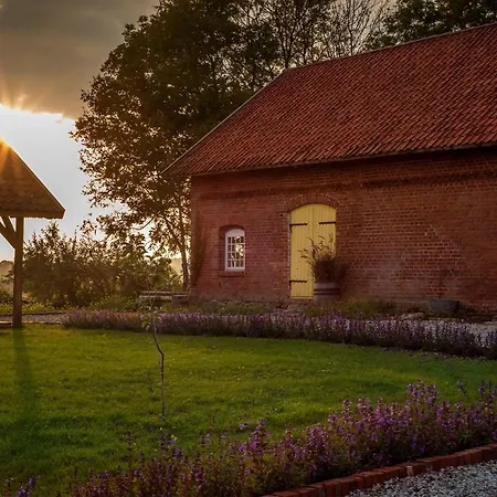Pastwisko Mazury *